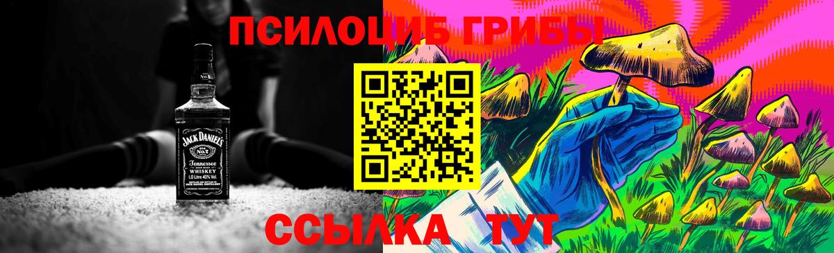 Щёлково  Галлюциногенные грибы Psilocybe  Вход с VPN 